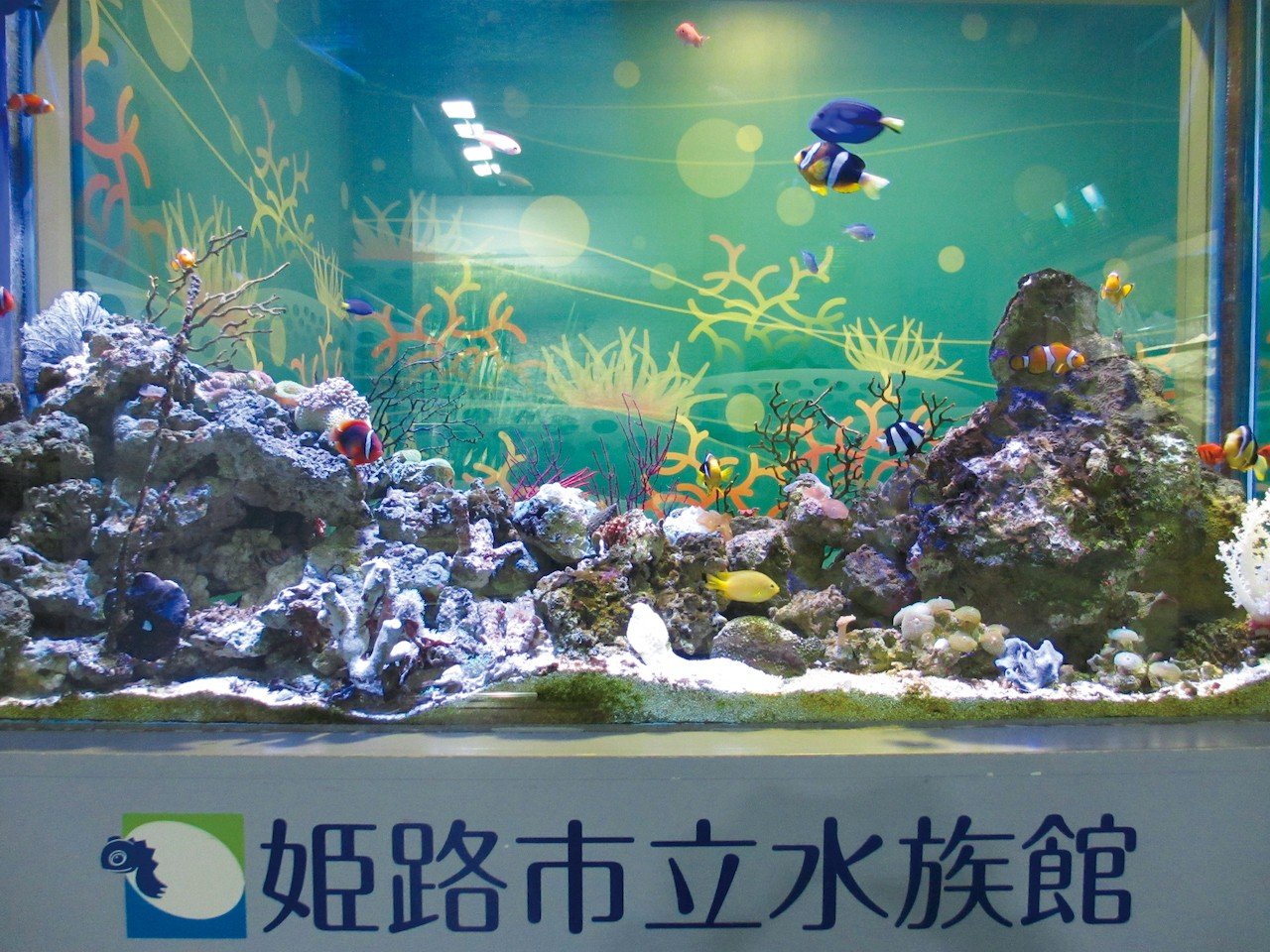 🐠 히메지 시립 수족관(히메지 시리츠 스이조쿠칸) 이미지 4